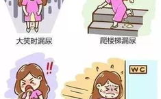 尿失禁的原因,成因、类型与防治策略”