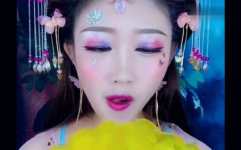 古装小姐姐一号是什么,穿越时空的美丽传奇