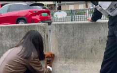 马路上的白衣小姐姐图片,白衣小姐姐的时尚演绎