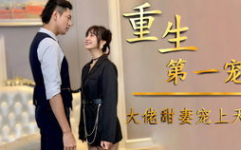 顾九辞霍明澈小说免费阅读全文,顾九辞与霍明澈的甜蜜复仇之旅