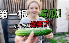 吃瓜网俄罗斯,吃瓜网带你揭秘神秘国度