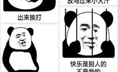 斗图制作,轻松制作个性表情包全攻略