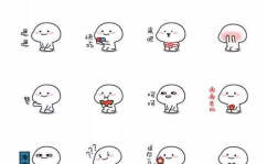 微信表情包制作,轻松打造个性聊天神器