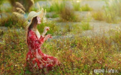 最欣赏的女性特征,探寻最令人倾心的女性特质”