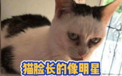 恶搞网名 能笑死人的,恶搞昵称笑翻天，谁能hold住这些爆笑名字？