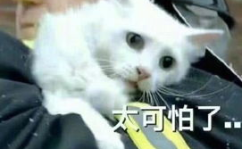 20张搞笑图片,20幅趣味盎然的搞笑图片集锦