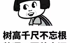 精辟一句话流氓笑话,流氓笑话背后的精辟哲理