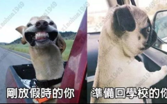 10秒逗笑别人的方法,10秒内让你笑出声的逗趣文案！”