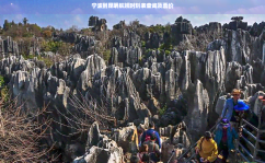 宁波到昆明航班表实时航班动态查询