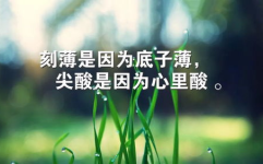 励志正能量的句子经典语句,正能量励志语句精选