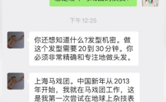 地铁头悬梁小姐姐系马戏,地铁头悬梁小姐姐的奇幻马戏之旅