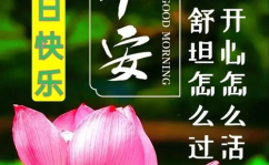 周末祝福短信简短,温馨问候，快乐传递