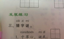 1 1不是二打一字谜底是什么,一加一非二，谜底揭晓”