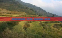 南昌至香格里拉航班：预订机票、查询旅游信息一站式服务_实时航班动态查询