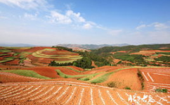 东川红土地旅游,大自然的调色板与摄影者的天堂