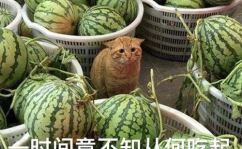 吃瓜和网暴,网络时代的道德困境与反思