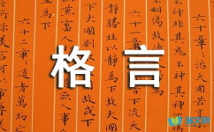 母爱的最经典名言,经典名言中的温暖力量